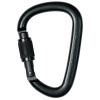 Karabína PETZL William so skrutkovacím zámkom čierna