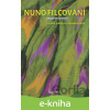 E-kniha Nunofilcování - Alena Isabella Grimmichová