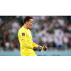 CUKROVÁ TLAČ jedlý obrázok na tortu Cukrová hmota Foto Wojciech Szczęsny POĽSKO K