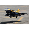 FMS Dassault Rafale 974mm s EDF 80mm