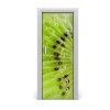 Fototapeta na dvere do domu samolepiace kiwi 75x205