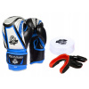 Boxingové rukavice DBX Bushido 407V1-Presentset 6 oz (Darček pre dieťa - darčeková súprava DBX 407V1)