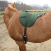 Pad jezdecký Ultra light Brockamp, FULL, fir green
