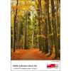A4/50 FOMEI Collection Velvet 265 - FOMEI A4, 50 listů, 265 g/m2 (EY5469)