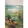 The Boundless Sea