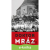 E-kniha Doktor Mráz - Denisa Fulmeková