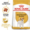 ROYAL CANIN Jack Russell teriér dospelý 7,5kg + PREKVAPENIE PRE VÁŠHO PSA