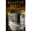 Rozpusť vlasy, otevři bránu - Anna Šochová