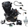 MOTOR Cross 250 cc Xmotos XB 88 XB39 XB37 XB31 ASIX RFZ Lizzard (Apollo)