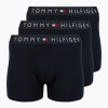 Boxerky Tommy Hilfiger Brief Dtm 3 pairs desert sky/desert sky/desert sky
