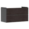 Hansgrohe Xevolos E - Umývadlová skrinka 98x58x48 cm, 2 zásuvky, matná sivá/tmavý dub 54183730