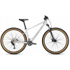 Horský bicykel - Bicykel Focus Whistler 3,8 MTB Deore 2x11 kolesa 29 (Focus Whistler 3.8 MTB Deore 2x11 Bike okolo 29)