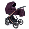Detský kočík Coletto Dante | Deluxe Baby Farba: D12-medená