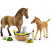 Schleich 42432 Set žriebä a Quarter kôň so šteniatkom a doplnkami