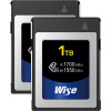 Wise CFexpress Typ B 1 TB Advanced (2-pack) (WI-KCX-B1024)