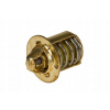 Termostat Tec, AM AM6 Aprilia AF1 MX RS RX Tuono