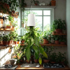 Kvetináč závesný stropný plastový, sky planter Žltá M