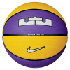 Nike Lebron Playground Purple/Black One Size