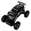 Auto na diaľkové ovládanie - Rock Crawler Truck 4x4 Monster Truck (Auto na diaľkové ovládanie - Rock Crawler Truck 4x4 Monster Truck)