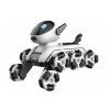 RoboDog Fleg