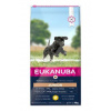 Eukanuba Dog Junior Large & Giant 15kg