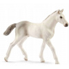Schleich Holštajnské žriebä 13860