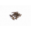 RidgeMonkey Rovnátko Connexion Mini D-Rig Kickers Small Organic Brown 10ks