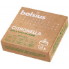 Bolsius Čajové sviečky Citronella proti komárom - balenie 18 ks