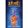 Zánět – skrytý zabiják - Frej David