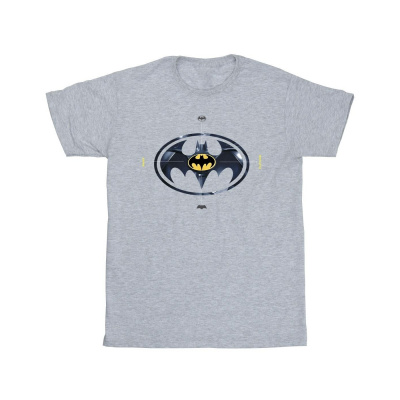 DC Comics - Pánske tričko "The Flash Batman Metal Logo" BI52145 (XXL) (Šedá)