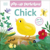 Pop-up Peekaboo! Chick
