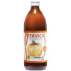 Tekvica 100% 0,5L EKOMEDICA