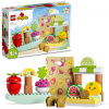 LEGO stavebnica LEGO® DUPLO® 10983 Bio farmársky trh (5702017416977)