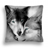 Vankúš - Vankúš vlci 18 Jasiek 40x40 pár Love (Vankúš vlci 18 Jasiek 40x40 pár Love Pl 24H)