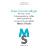 Sono-fenomenologie - Martin Nitsche