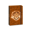 ARS UNA Jumbo Honor of the Wild, box na zošity A5, s gumičkou