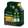 MOLLER´S Omega 3 RYBÍ OLEJ + vitamín D Duo balenie, citrónová príchuť 2x250 ml