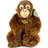Rappa Plyšový orangutan, 27 cm Eco-friendly