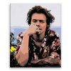 Maľovanie podľa čísel - Harry Styles 04 - 80x100 cm, plátno vypnuté na rám - výroba CZ