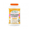 Dr.Popov PSYLLIUM NATUR 240 kapsúl