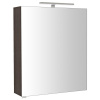 Sapho RIWA galérka s LED osvetlením, 60x70x17cm, borovica rustik RIW060-0016