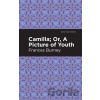 Camilla; Or, A Picture of Youth - Frances Burney