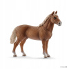 Schleich 13869 domáce zvieratko kôň Morgan žrebec