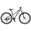 GT Stomper Prime 2022 Silver 24