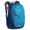 Boll Falcon 20l dětský městský i turistický batoh - Dutch Blue