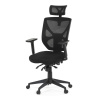 Autronic BONTEC Kancelárska stolička, asynchrónny mechanizmus, čierna, KA-Q8250 BK Farba: Čierna