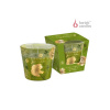 BARTEK Floral Garden, sviečka v skle, 115g, doba horenia 30 hodín, 2 varianty Powdery Tuberose