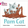 Pam Cat - Baker, Catherine