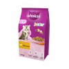 WHISKAS Dry Junior Chicken 1,4 kg - krmivo pre mačiatka, kuracie
