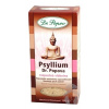 DR.POPOV Psyllium 100 g